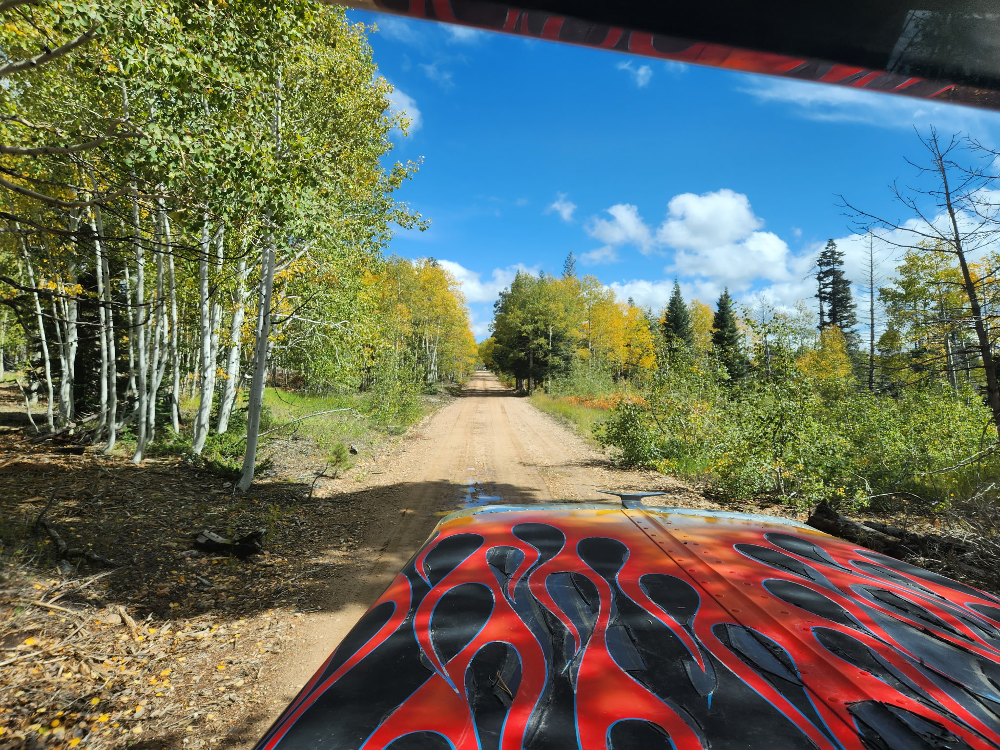 Flamed Peterbilt heading up a pine-lined forest road